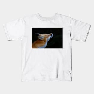 Red Fox, Algonquin Park, Canada Kids T-Shirt